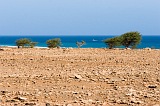 Maio : Ponta Preta :  : Landscape Desert
Cabo Verde Foto Galeria