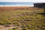 Maio : Ponta Preta : halophyt : Landscape Sea
Cabo Verde Foto Gallery