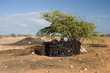 Maio : Cascabulho : carvo vegetal : People Work
Cabo Verde Foto Galeria