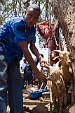 Santiago : Assomada : talho : Technology Agriculture
Cabo Verde Foto Galeria
