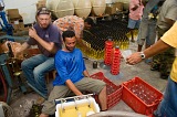 Fogo : Ch das Caldeiras : wine : People Work
Cabo Verde Foto Gallery
