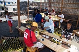 Insel: Fogo  Wanderweg:  Ort: Ch das Caldeiras Motiv: Wein Motivgruppe: People Work © Florian Drmer www.Cabo-Verde-Foto.com