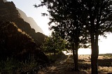 Fogo : Ch das Caldeiras : morning : Landscape Mountain
Cabo Verde Foto Gallery