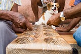 So Nicolau : Tarrafal : jogo : People Recreation
Cabo Verde Foto Galeria