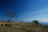 Santo Anto : Mesa do Porto Novo : seco e abandonado : Landscape
Cabo Verde Foto Galeria