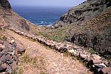 So Nicolau : Ra Funda : percurso pedestre : Landscape Mountain
Cabo Verde Foto Galeria