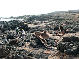 Santo Anto : Canjana Praia Formosa : remainders of shipwreck SS John E. Schmeltzer 25.11.1947 : History site
Cabo Verde Foto Gallery