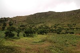 Brava : Cova de Pal : fields : Landscape Agriculture
Cabo Verde Foto Gallery