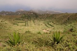 Brava : Cova de Pal : fields : Landscape Agriculture
Cabo Verde Foto Gallery