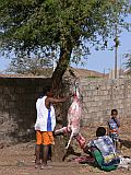 Santiago : Ribeirao Manuel : butcher : People Work
Cabo Verde Foto Gallery
