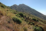 Insel: Fogo  Wanderweg:  Ort: Montinho Motiv: Endemische Vegetation Motivgruppe: Landscape Mountain © Pitt Reitmaier www.Cabo-Verde-Foto.com