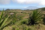 Brava : Fontainhas : planalto : Landscape Mountain
Cabo Verde Foto Galeria