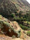 Brava : Ferreiros Odjo d Agua : circito turstico : Landscape Mountain
Cabo Verde Foto Galeria
