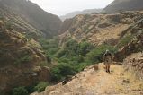 Brava : Ribeira Ferreiros Odjo d Agua : circito turstico : Landscape Mountain
Cabo Verde Foto Galeria