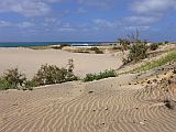 Maio : Calhetinha : duna : Landscape Sea
Cabo Verde Foto Galeria