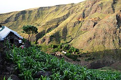 Santo Anto : Tabuleirinho da Tabuga : waterpoint and shop deep in the valley : Landscape Mountain
Cabo Verde Foto Gallery