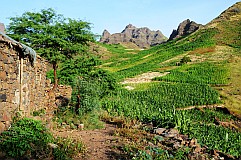 Santo Anto : Tabuleirinho da Tabuga : paisagem verde : Landscape Mountain
Cabo Verde Foto Galeria