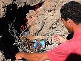 Fogo : Bordeira : incinerao do lixo dos outros : People Work
Cabo Verde Foto Galeria