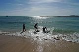 Boa Vista : Praia de Estoril : Crianas praticando surf : People Recreation
Cabo Verde Foto Galeria