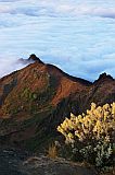 Santo Anto : Pico da Cruz - Lomb Corrotch : vista as casas do tope : Landscape Mountain
Cabo Verde Foto Galeria