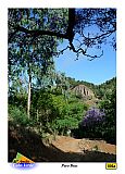 Santo Anto : Pero Dias : flowering jacaranda hiking trail : Landscape Forest
Cabo Verde Foto Gallery