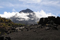 Fogo : Cha das Caldeiras Monte Verde : ilhu verde caminhada nas lavas : Landscape Mountain
Cabo Verde Foto Galeria