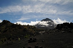 Fogo : Cha das Caldeiras Monte Verde : green island hike lava : Landscape Mountain
Cabo Verde Foto Gallery