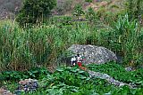 Santo Anto : Paul : camino : Landscape
Cabo Verde Foto Galeria