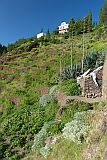 Insel: Santo Antão  Wanderweg:  Ort: Pico da Cruz Lombo Vermelho Motiv: Grüne Felder unter den Wäldern Haus Motivgruppe: Landscape Mountain © Pitt Reitmaier www.Cabo-Verde-Foto.com