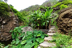 Santo Anto : Ribeira de Lombo de Pico : caminho vicinal : Landscape Mountain
Cabo Verde Foto Galeria