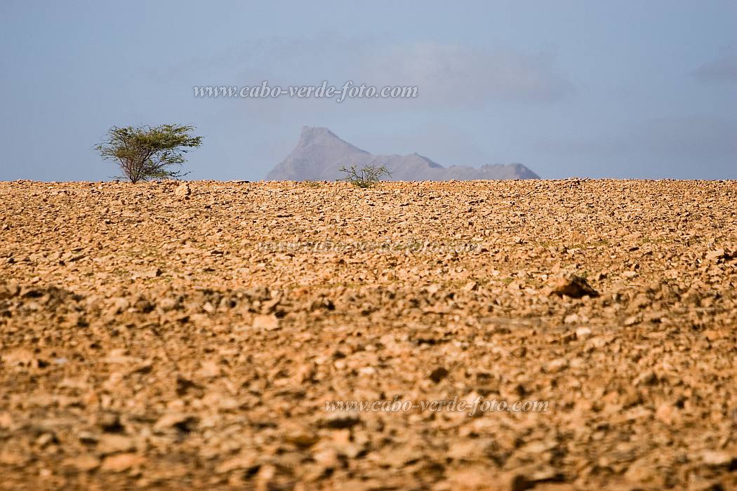 Maio : Ponta Preta :  : Landscape DesertCabo Verde Foto Gallery