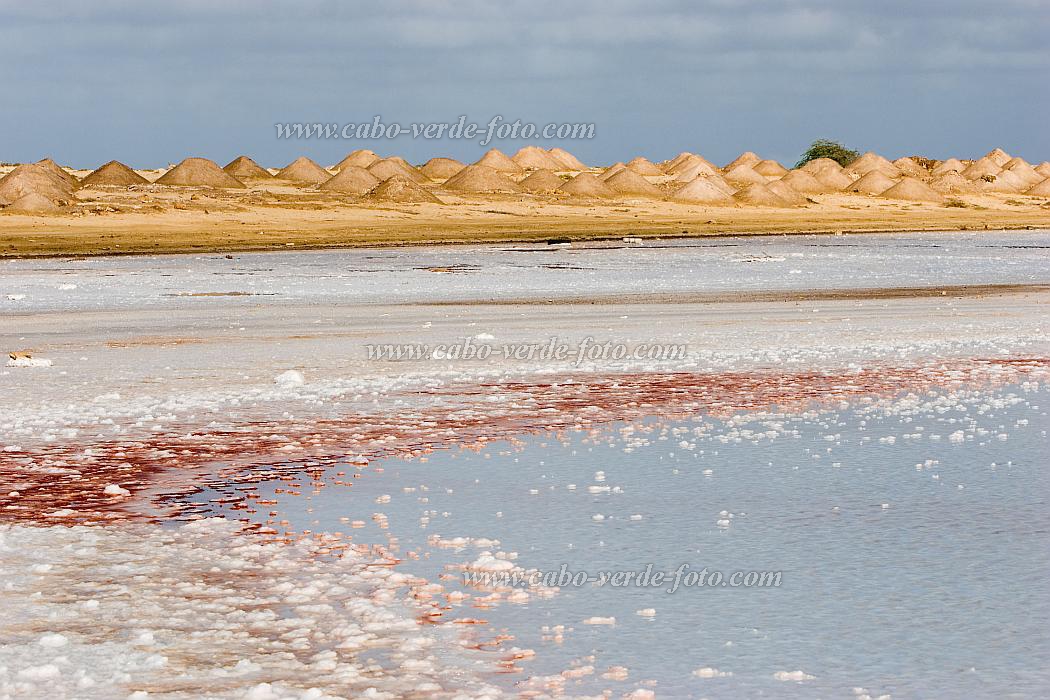 Maio : Saline : saline : Landscape AgricultureCabo Verde Foto Gallery