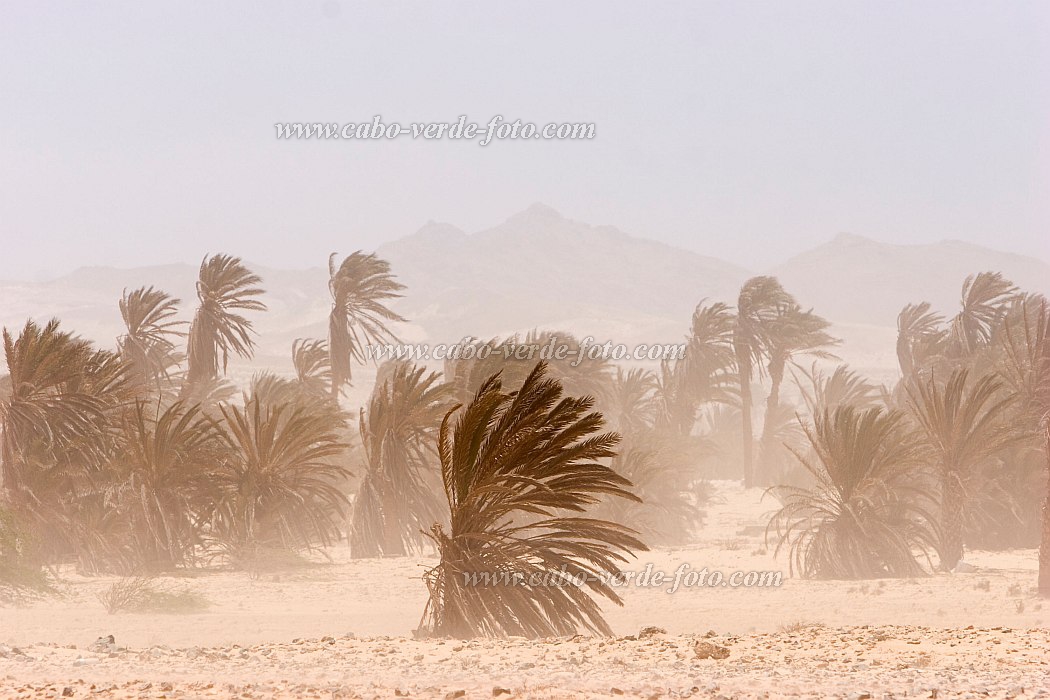 Boa Vista : Sal Rei : sandstorm harmattan : Landscape DesertCabo Verde Foto Gallery