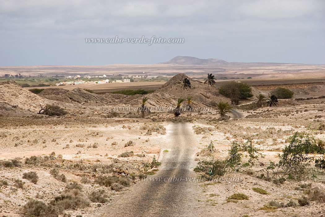 Boa Vista : Joo Galego : hiking track in the desert : Landscape DesertCabo Verde Foto Gallery