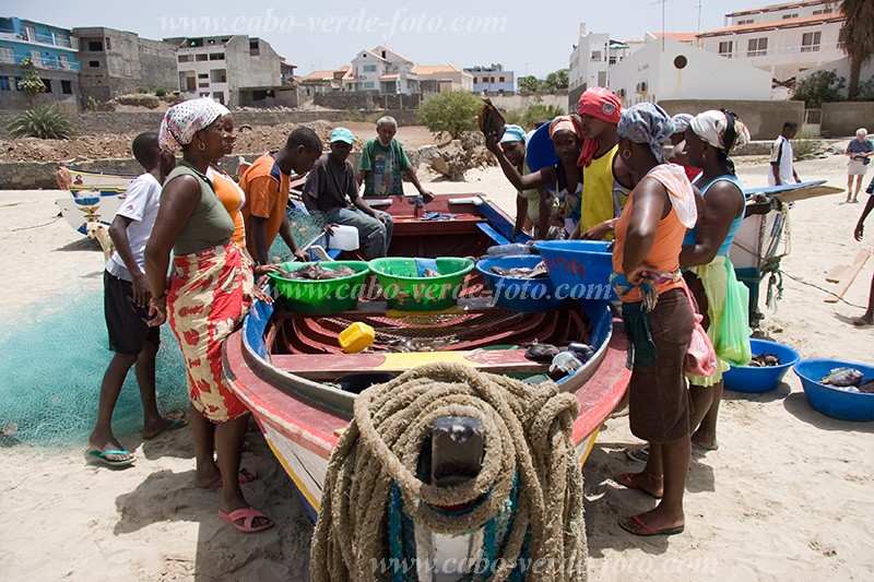 Insel: Santiago  Wanderweg:  Ort: Tarrafal Motiv: Fischhandel Motivgruppe: People Women © Florian Drmer www.Cabo-Verde-Foto.com