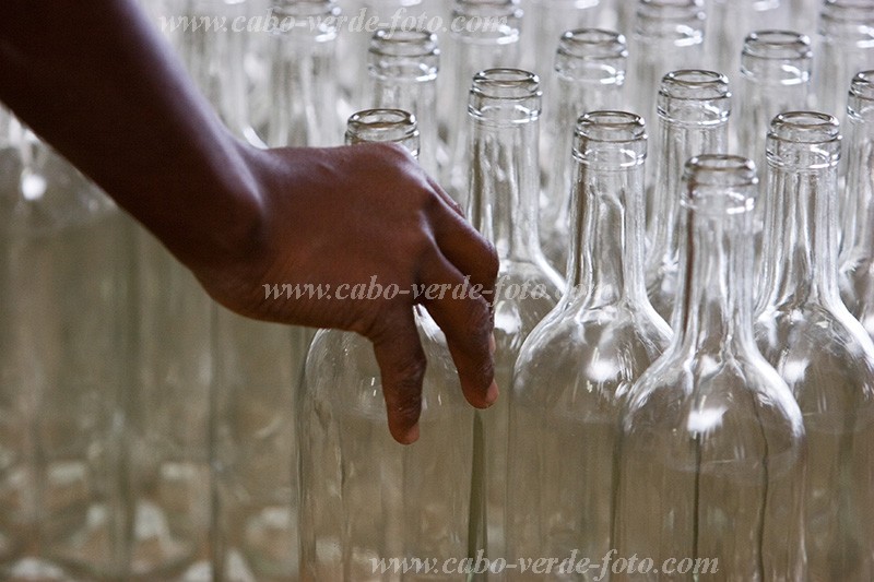 Fogo : Ch das Caldeiras : vinho : People WorkCabo Verde Foto Gallery