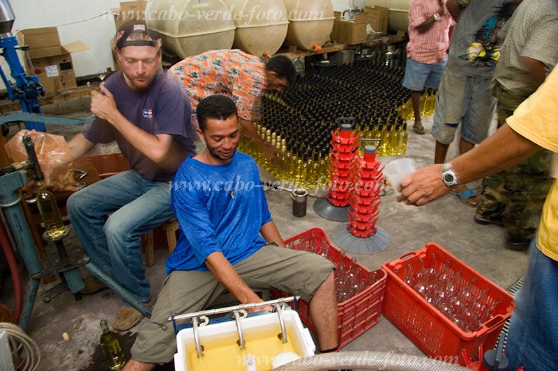 Fogo : Ch das Caldeiras : vinho : People WorkCabo Verde Foto Gallery