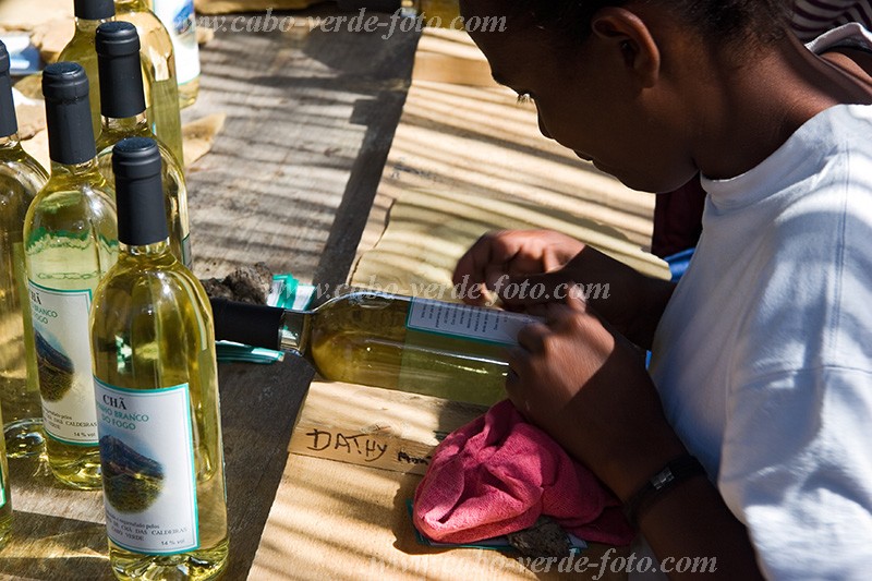 Fogo : Ch das Caldeiras : wine : People WorkCabo Verde Foto Gallery