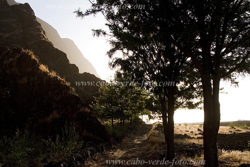 Fogo : Ch das Caldeiras : manh : Landscape MountainCabo Verde Foto Gallery