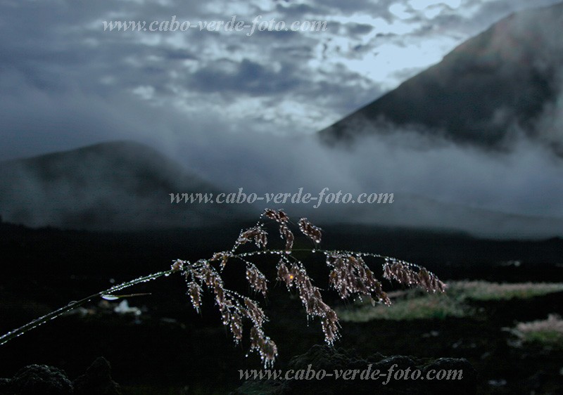 Fogo : Ch das Caldeiras : manh : Landscape MountainCabo Verde Foto Gallery