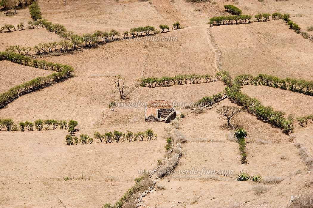 Brava : Fontainhas : campo : Landscape AgricultureCabo Verde Foto Gallery