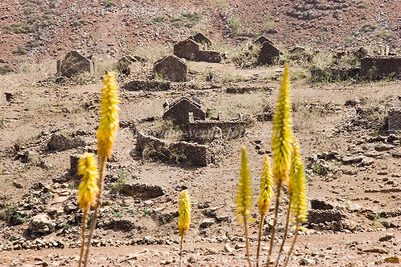 Insel: So Nicolau  Wanderweg:  Ort:  Motiv: Verfallenes Dorf Motivgruppe: Landscape Town © Florian Drmer www.Cabo-Verde-Foto.com