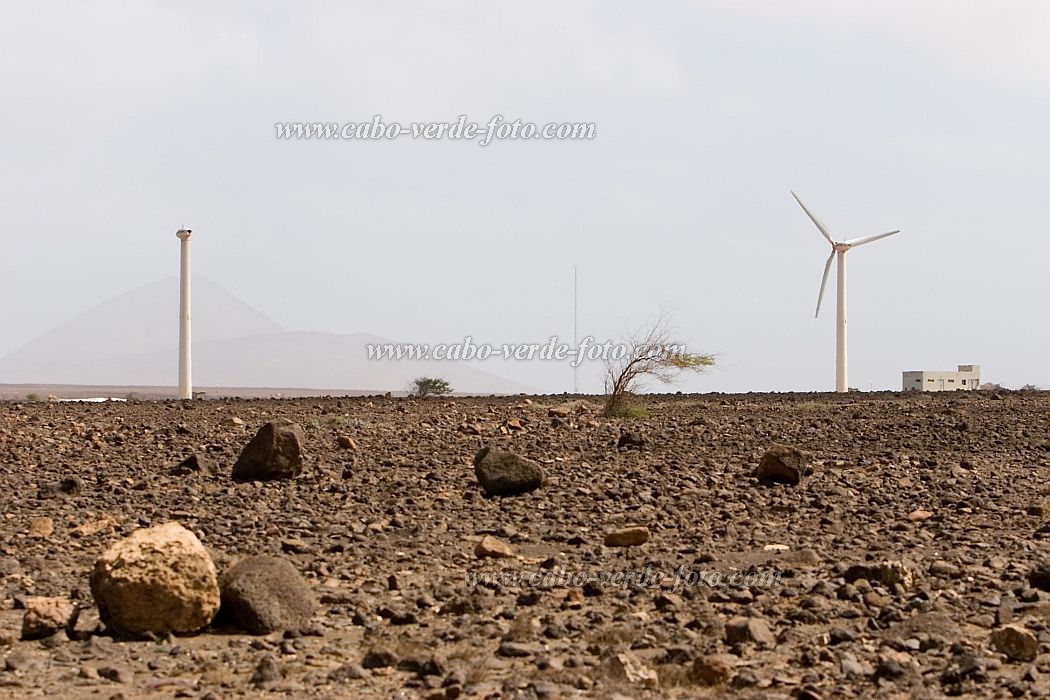 Insel: Sal  Wanderweg:  Ort: Palmeira Motiv: Windrad Motivgruppe: Landscape Desert © Florian Drmer www.Cabo-Verde-Foto.com