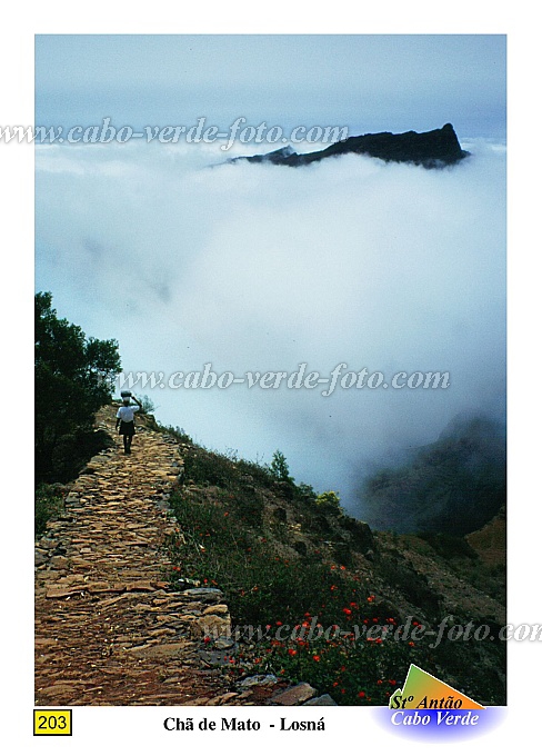Santo Anto : Losna : caminho vizinal : Landscape MountainCabo Verde Foto Gallery