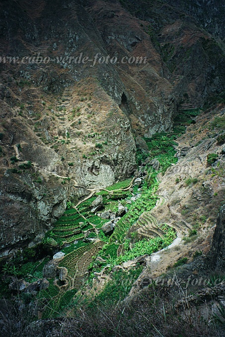 Santo Anto : Ribeira de Losna : caminho vizinal : Landscape MountainCabo Verde Foto Gallery