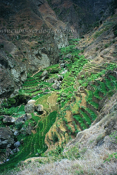 Santo Anto : Ribeira de Losna : agrucultura : Landscape MountainCabo Verde Foto Gallery