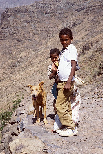 So Nicolau : Palhal : boys with their dog : People ChildrenCabo Verde Foto Gallery