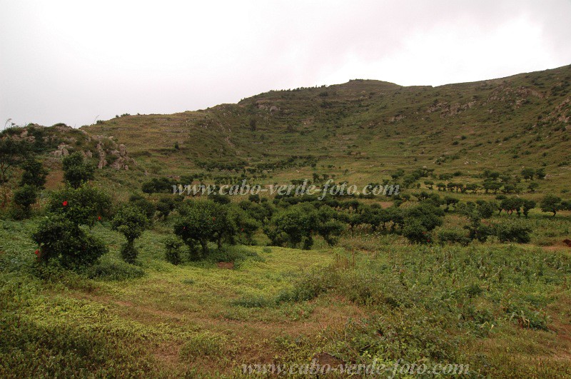 Brava : Cova de Pal : campo : Landscape AgricultureCabo Verde Foto Gallery