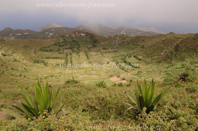 Brava : Cova de Pal : fields : Landscape AgricultureCabo Verde Foto Gallery
