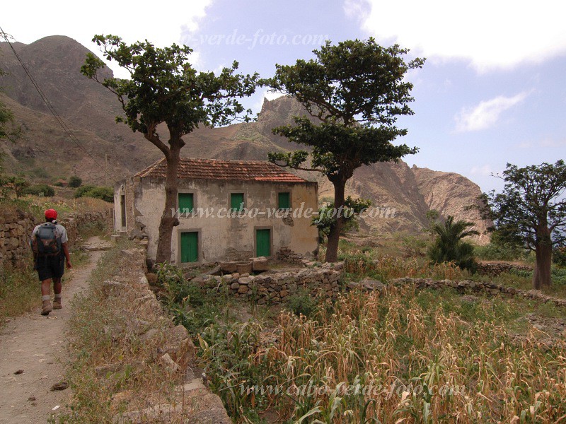 Brava : Lavadura : quinta : Landscape AgricultureCabo Verde Foto Gallery